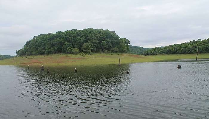 Periyar Wildlife Sanctuary view