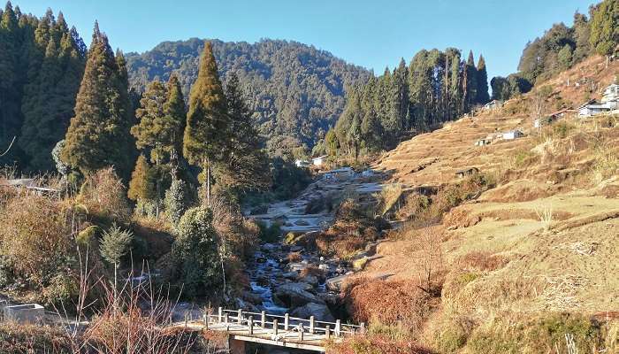 A spectacular view of Dooars, one of the best places to visit in summer in West Bengal