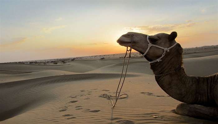 Sam Sand Dunes - Adventure Retreat