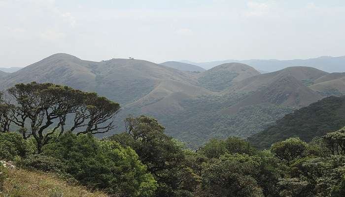 Serenity by the Valley