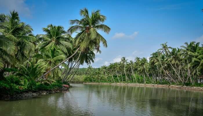 The serene backwaters of Kerala for a honeymoon