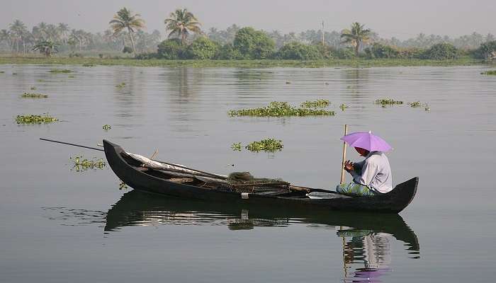 Backwaters in Kerala