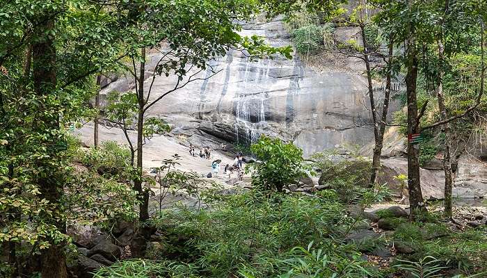 Thusharagiri waterfalls