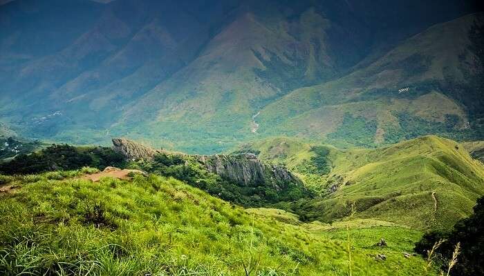 Top Station—Munnar’s Beauty Spot