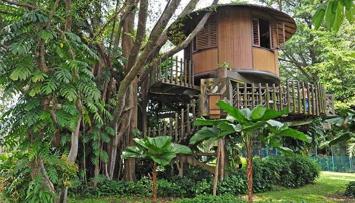 tree house resort