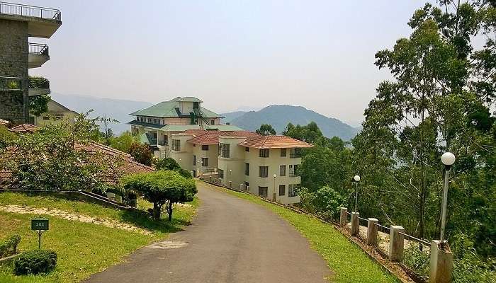 Staycation for Munnar trekkers
