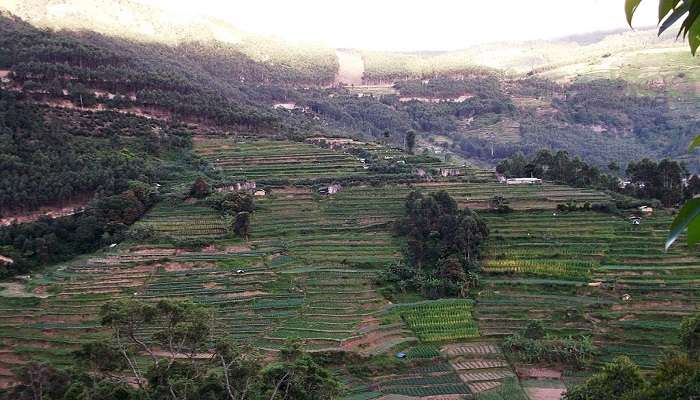 Vattavada village view while trekking in Munnar