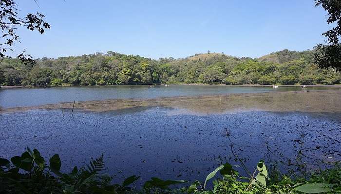 Pookode Lake, Wayanad, Kerala