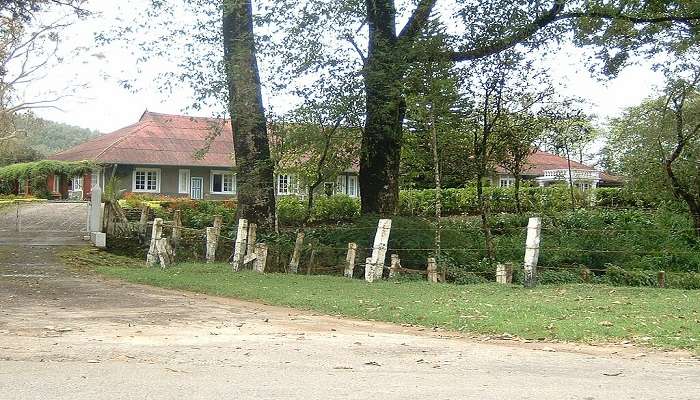 Home stay in Munnar