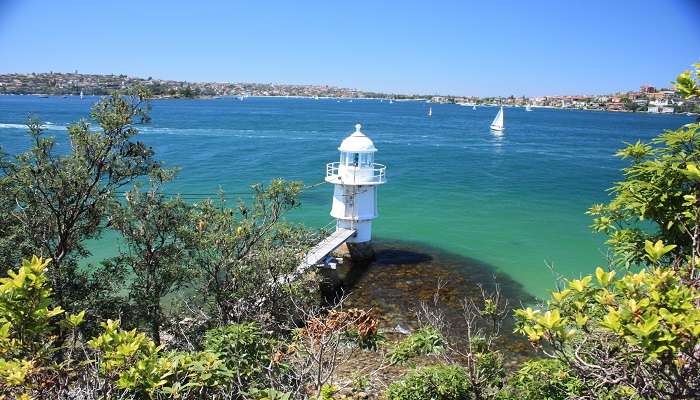 Do New Year Celebration in Sydney on Bradley Head
