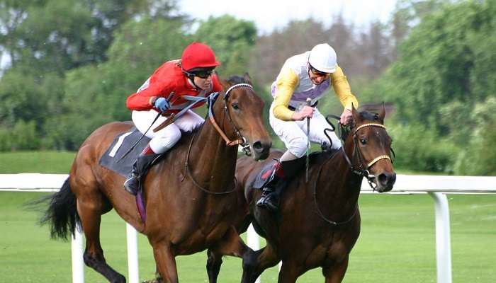 Horse racing, christmas in ireland