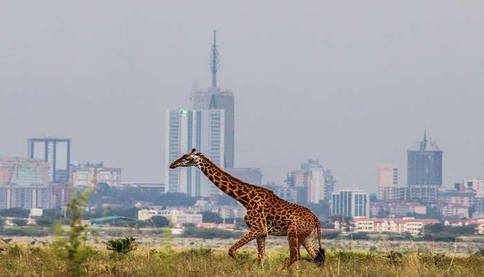 Weather in Kenya