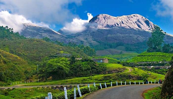 explore Munnar.
