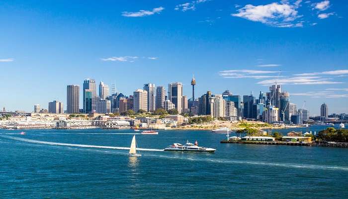 The surreal view of cruise in Sydney to celebrate New Year
