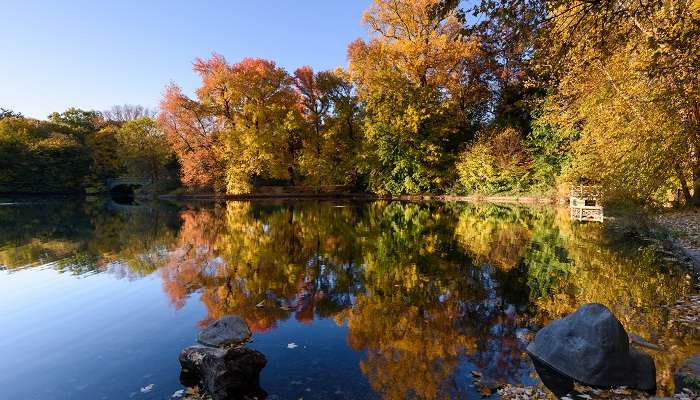 Prospect park, New Year In New York