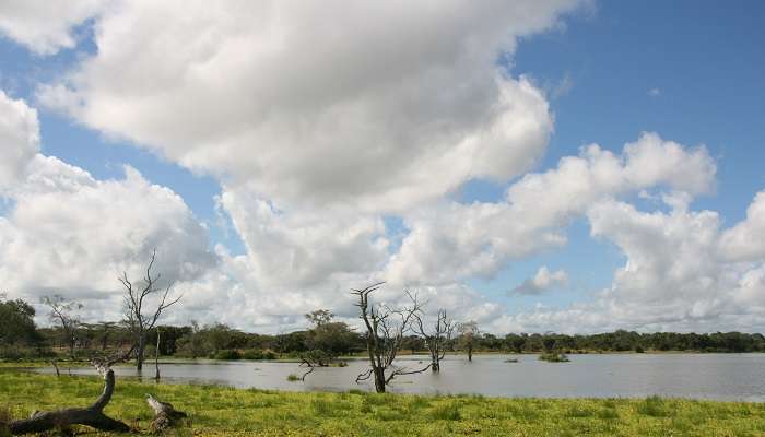 Selous_Game_Reserve