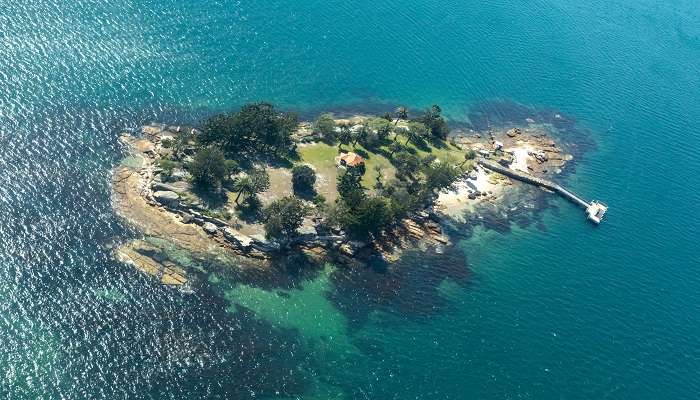 Do a New Year celebration in Sydney on Shark Island
