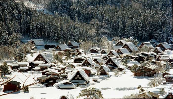 Where To Find Snow In Japan