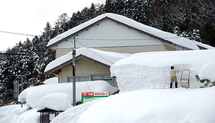 best time to see snowfall in Japan