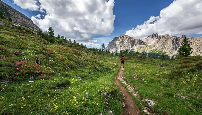 Set Out For A Trekking Expedition