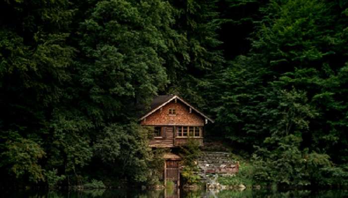 Lodge Amidst A Forest in Darjeeling in Winter