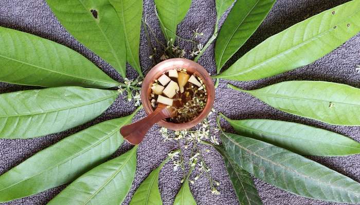 Ugadi Festival in Andhra Pradesh