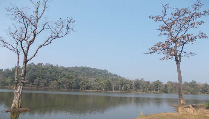 Nagzira wildlife sanctuary