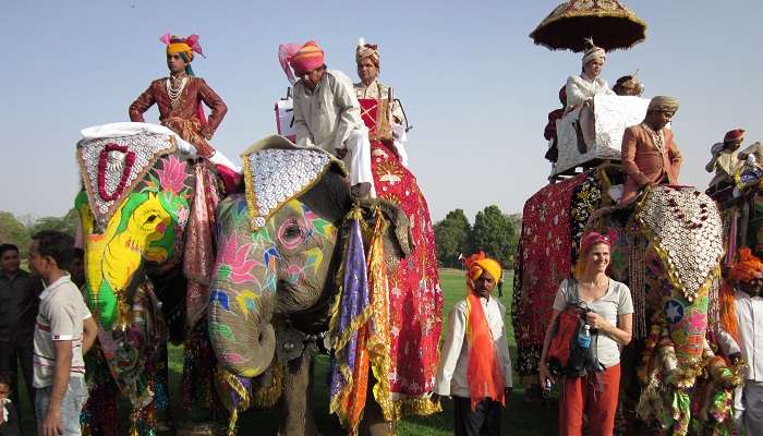 Elephant Fair, festivals in Rajasthan