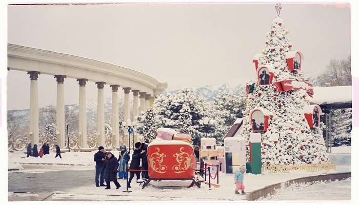 City of Chicago Christmas Tree