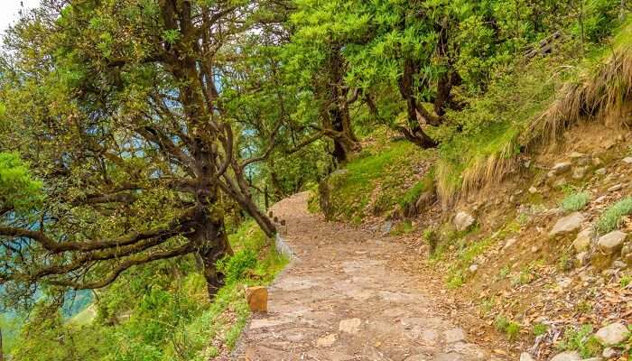 Plan an unstoppable journey with Madmaheshwar Temple Trek Guide