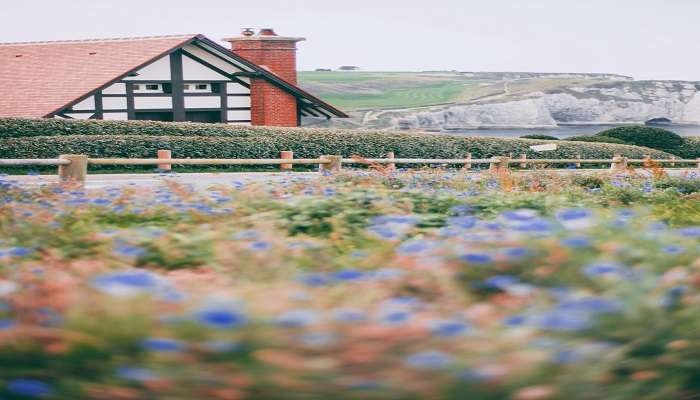 Wildflower Cottage