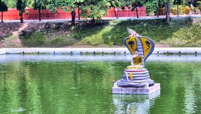 Mucalinda Lake Bodh gaya