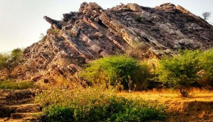 Slanting hillock Mukundara Hill Tiger Reserve