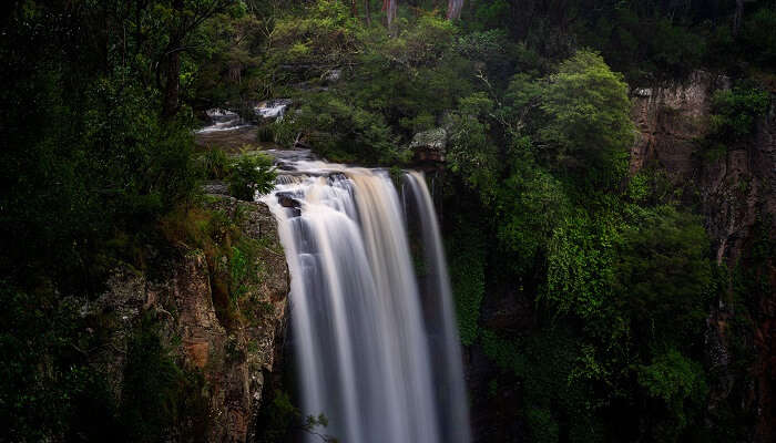 beautiful Main Range National Park