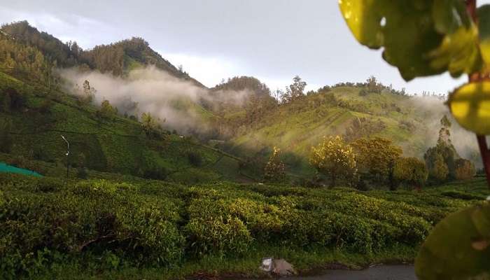 Ooty is one of the best hill stations to visit in South India in March