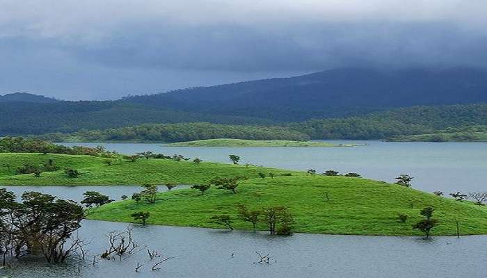 If you’re in search of tranquillity and scenic beauty, then Wayanad is your kind of place.