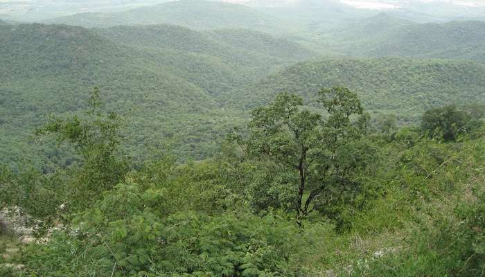 BR hills, places to visit in karnataka