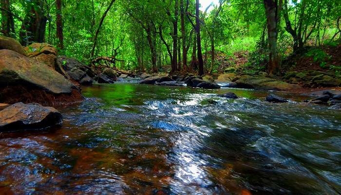 Scenic surroundings at one of top 10 places to visit in Goa with family