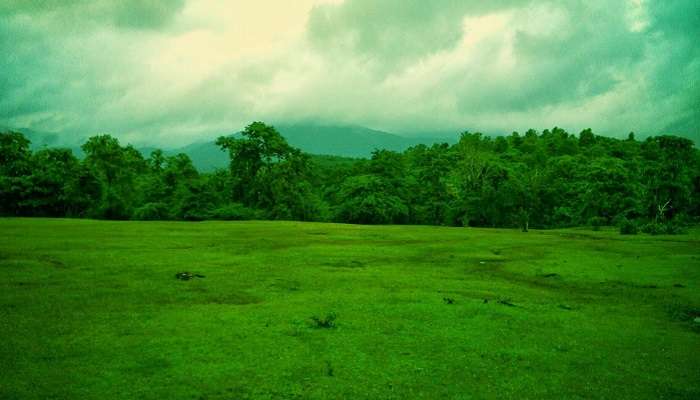 Lush green surroundings at one of the places to visit in Goa