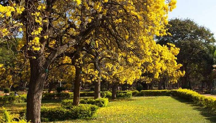 Cubbon Park, places to visit in karnataka