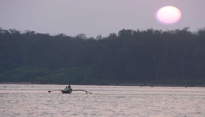 A canoe in the waters of Devbagh.