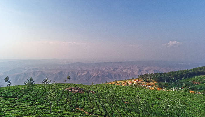 Kodanad Hills Aerial View