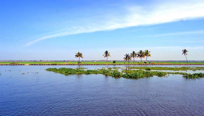 A majestic view of Kuttanad in Kerala