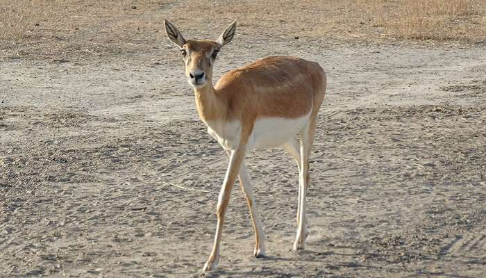 Wildlife sanctuary in Goa, one of the places to visit in Goa