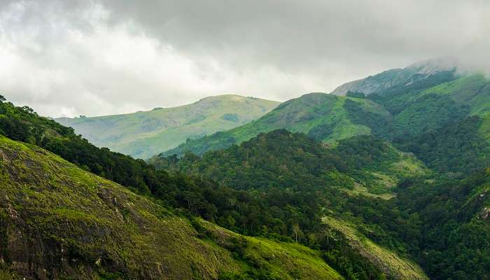 Lush green surroundings at one of the best places to visit in Kerala