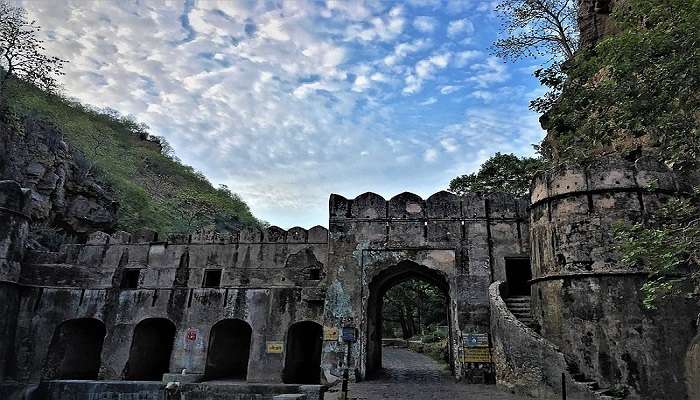 Ranthambore - Honeymoon Places In India In February