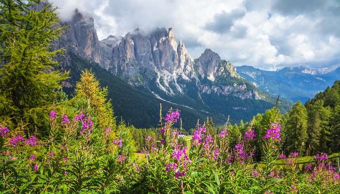 Valley-of-Flowers