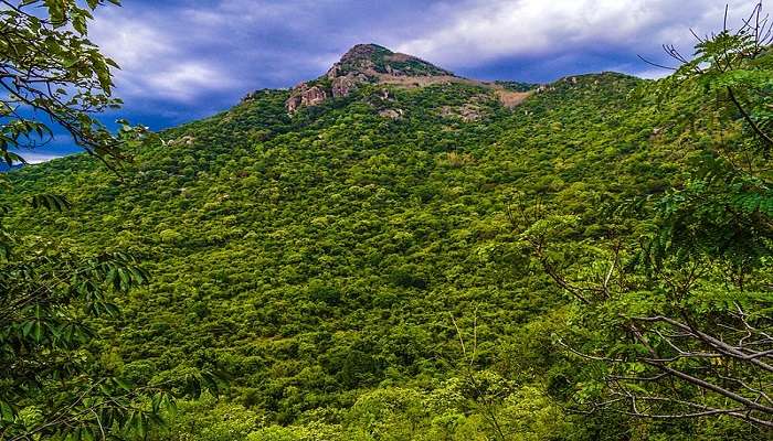 Yercaud