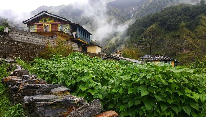 उत्तराखंड टूर पैकेज