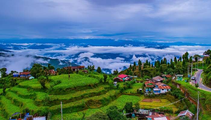 पर्यटक आकर्षण